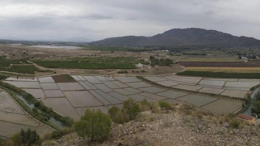 Usan la marca Calasparra para vender arroz chino