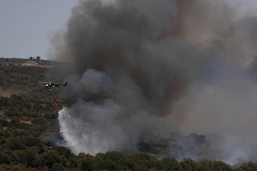 Incendio Pino del Oro y Castro de Alcañices