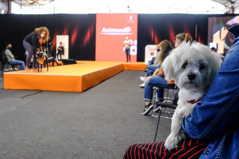 3 ª Feria del Animal de Compañía