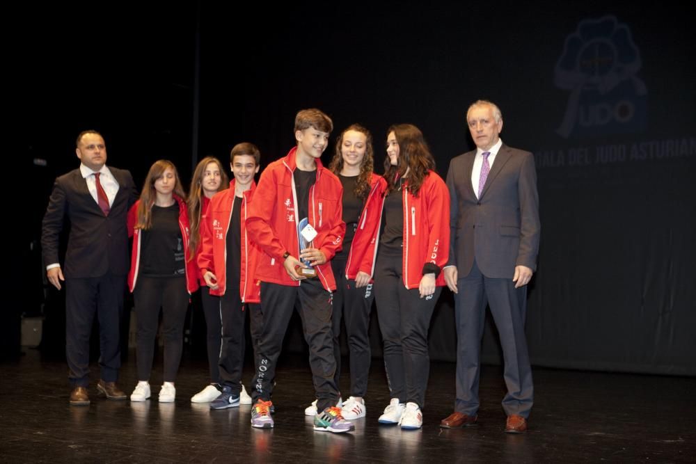 XXVI Gala del Judo Asturiano en el Nuevo Teatro de La Felguera