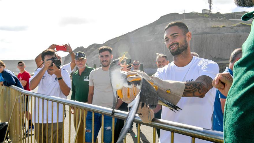 Benito y Fabio sueltan dos pardelas en el Mirador del Tritón