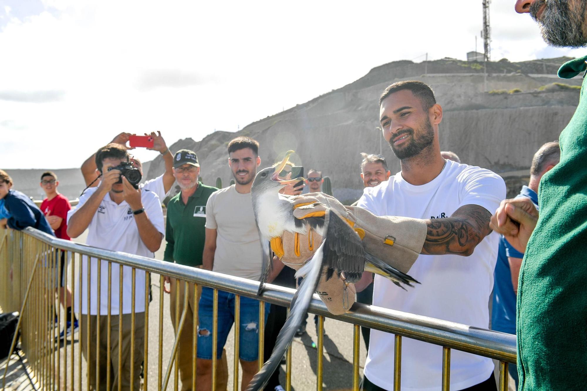 Benito y Fabio sueltan dos pardelas en el Mirador del Tritón