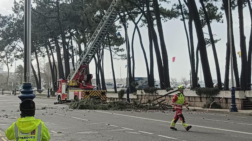 Los bomberos trabajan en el lugar.