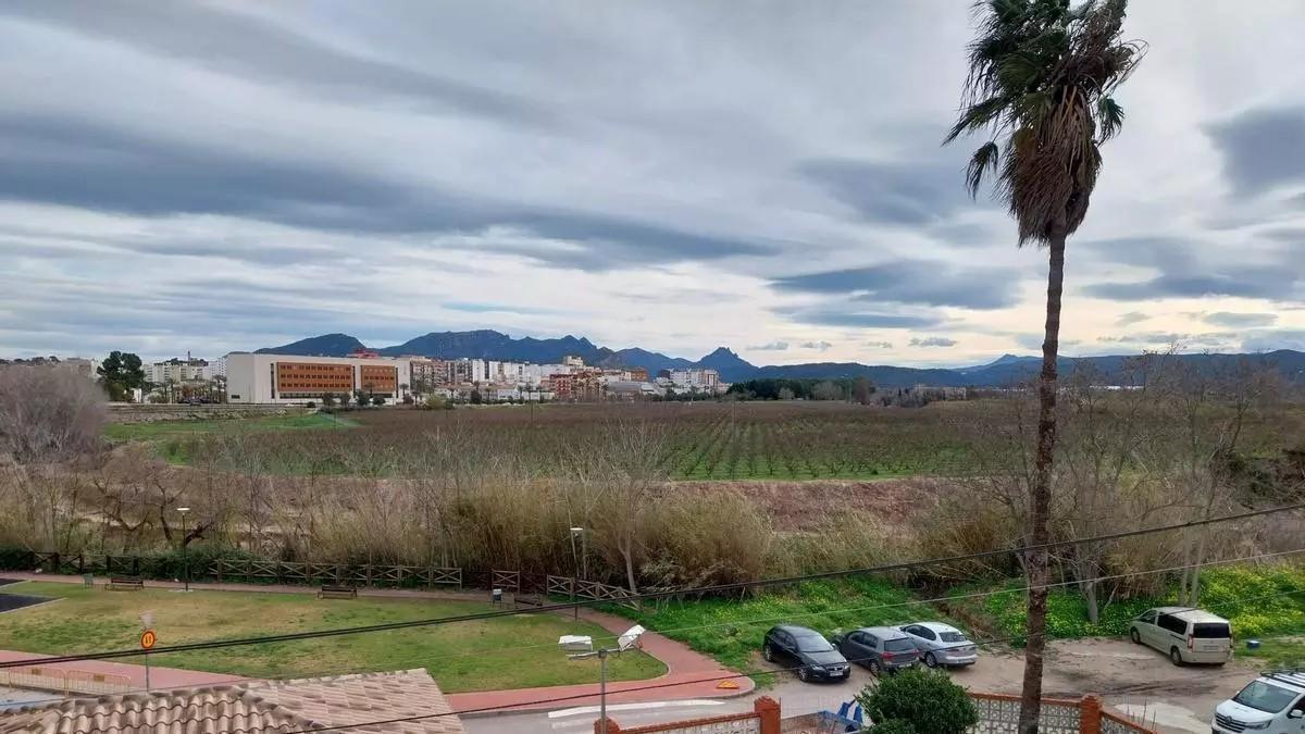 Imagen de archivo de la finca del Hort de Redal, junto al río, con el casco urbano de Alzira al fondo.