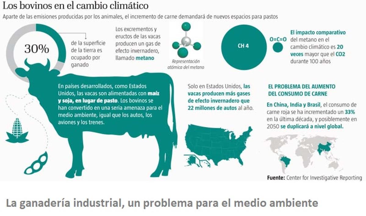 Debate en EEUU: ¿Por qué comer carne de ternera destruye el planeta?