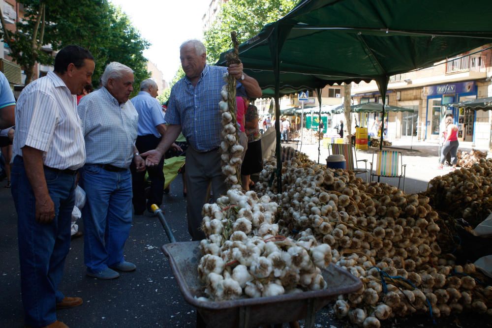 San Pedro 2016: Feria del Ajo