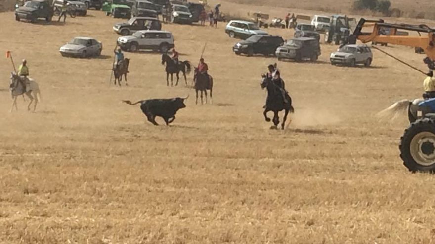 Encierro campero en La Bóveda en 2018