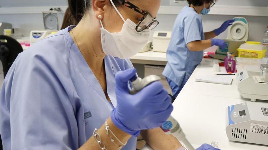 Dos especialistas trabajando en el laboratorio de biología molecular de La Fe, donde se hacen los mapeos genéticos.