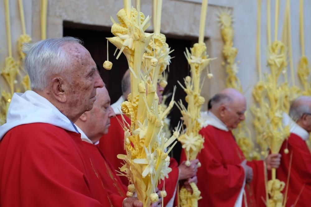 Prozession Ostern 2017 Palma Mallorca Palmsonntag