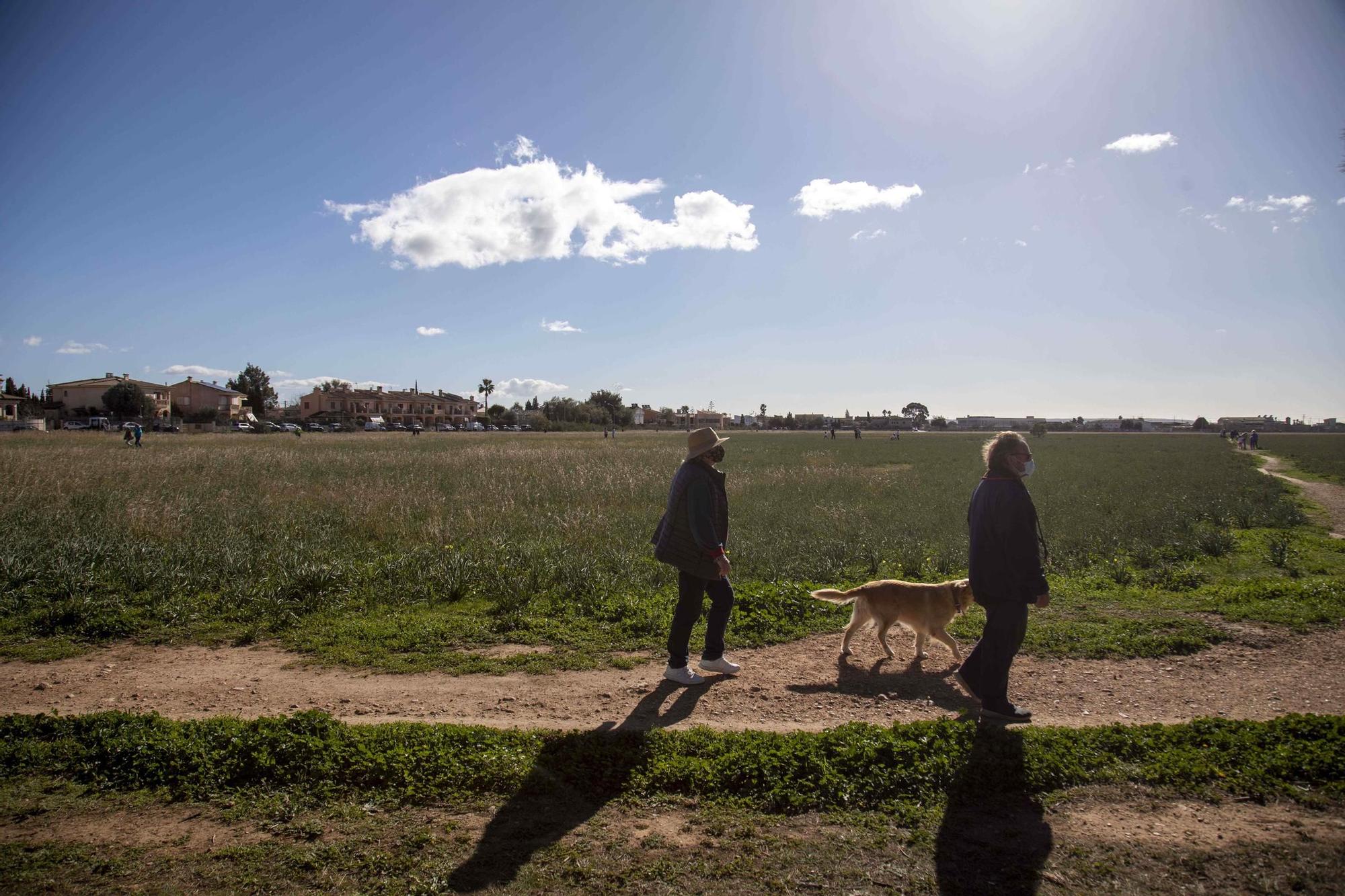 Caminata vecinal en protesta por el parque fotovoltaico en Son Bonet