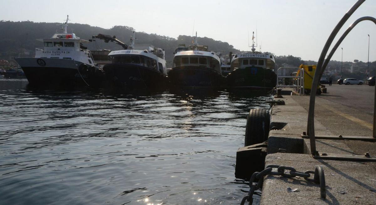 Un barco de pasaje, junto a gamelas y embarcaciones de séptima lista, varados en la arena de O Sinal.   | // G.NÚÑEZ