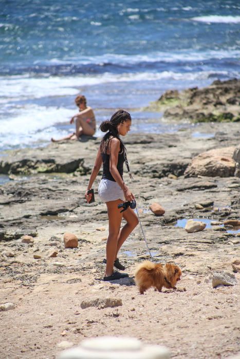 Los bañistas están acudiendo con perros a Punta Margalla y Cala del Moro, las dos playas autorizadas para perros, sin que el Ayuntamiento las haya señalizado todavía.