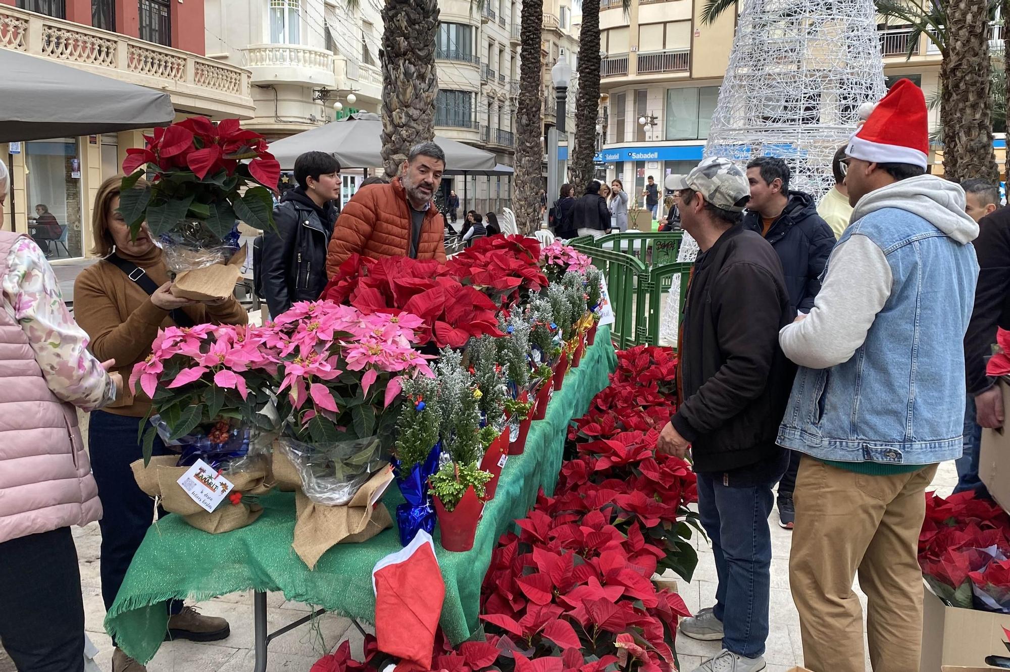 Mercadillo del Dia de la Discapacidad en la Glorieta