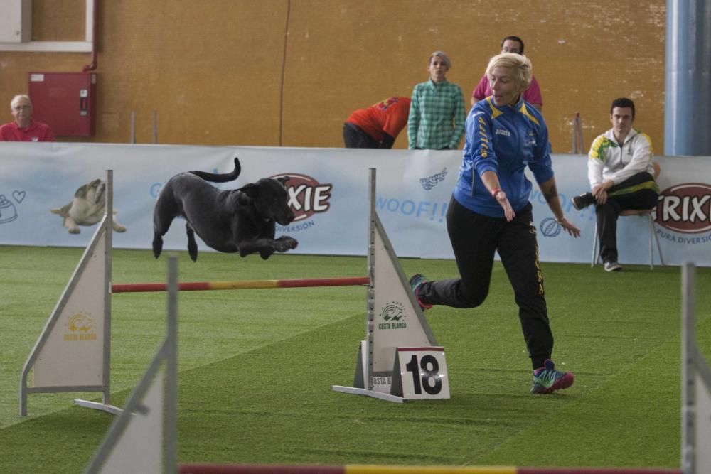 La Mascotada da brillo a Expocachorro