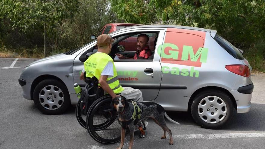 Concienciando con el perro como testigo.