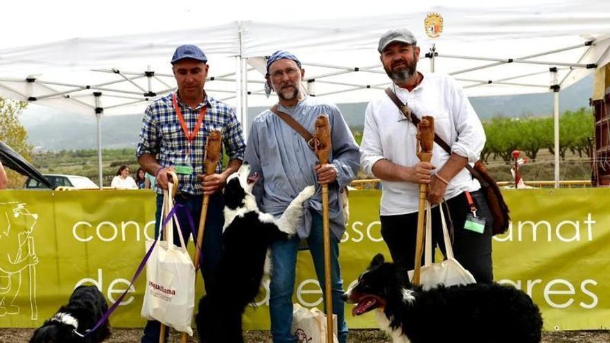 Castellón se consolida como cuna de campeones de perros pastores