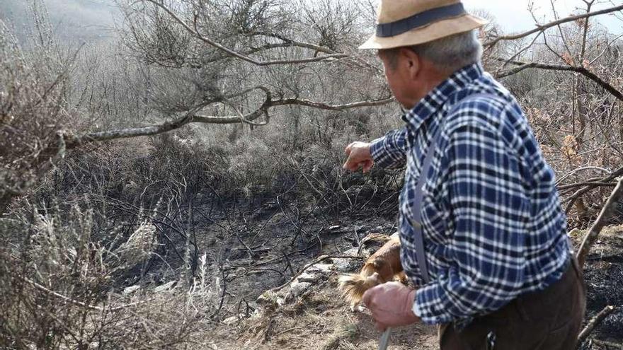 Un vecino, en el monte de O Bolo donde murió calcinado Aurelio B. R., de 90 años. // Jesús Regal