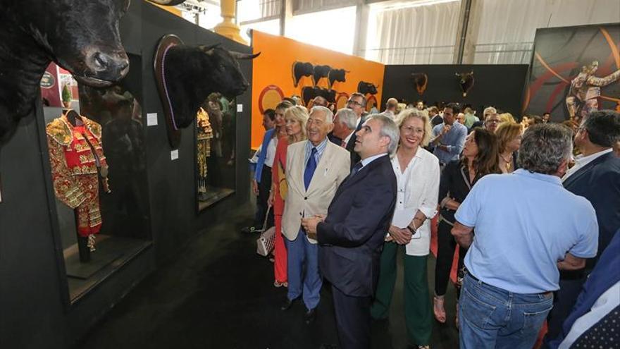 El Ayuntamiento de Badajoz aumenta las partidas del IMSS y la FMD y recorta la de Ifeba