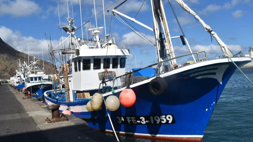 A la caza del atún rojo en Las Canteras