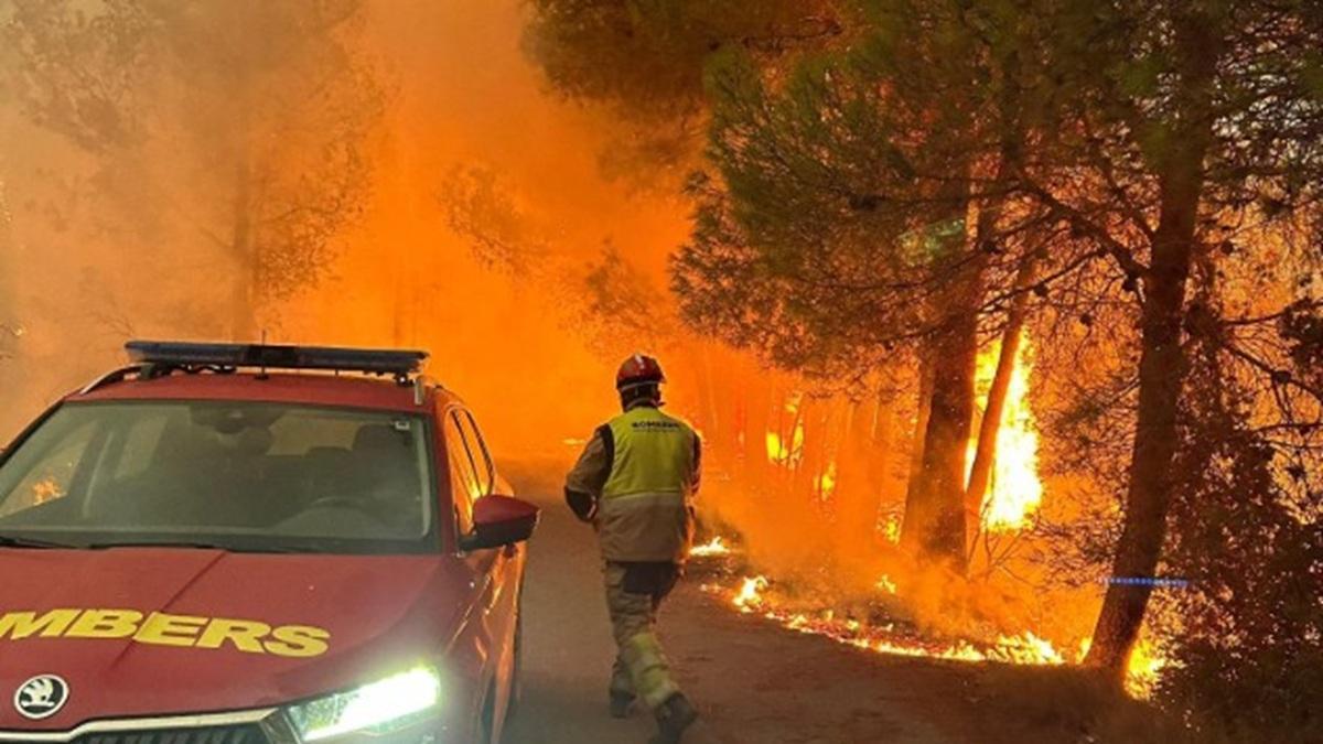 ¿Son los bosques los responsables de los incendios?