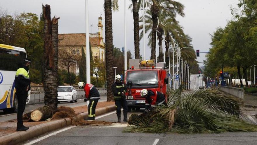 La Inspección de Trabajo advierte de &quot;irregularidades&quot; en el servicio de bomberos de la capital