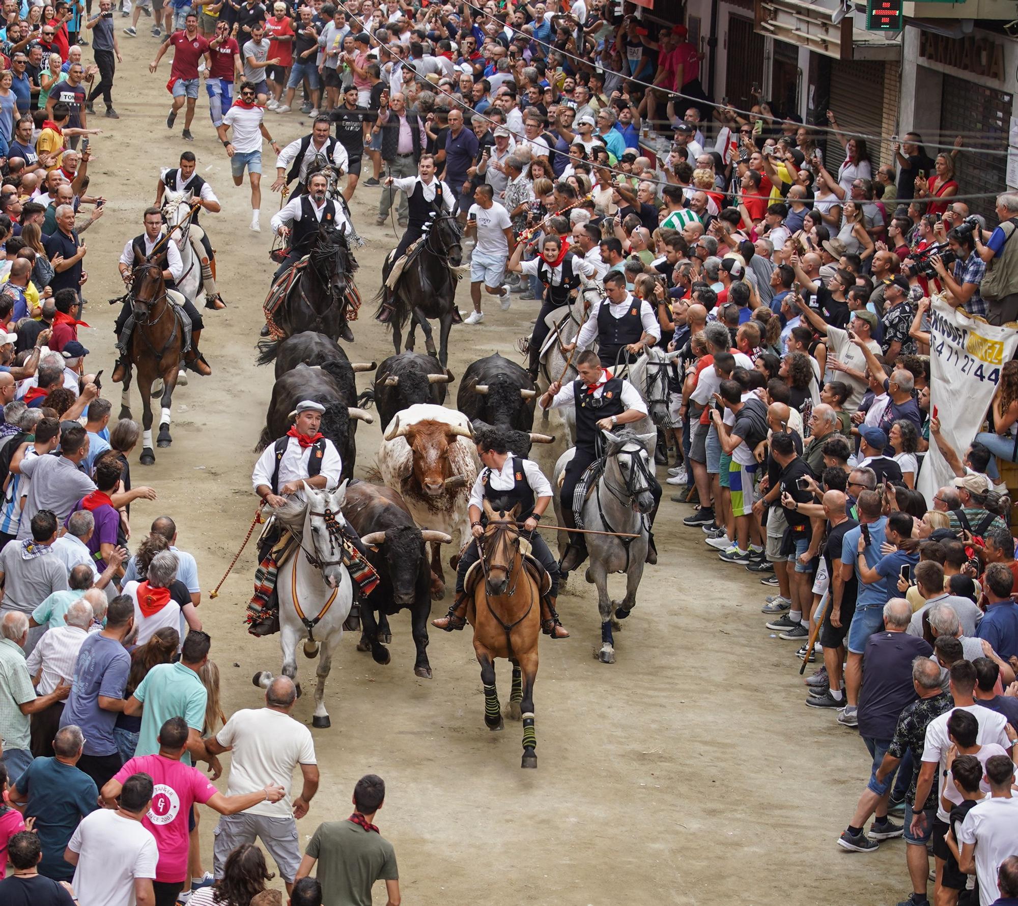 Las fotos de la primera Entrada de Toros y Caballos de las fiestas de Segorbe