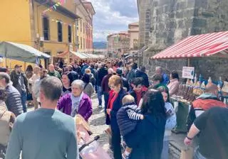 Salas, a reventar por el Certamen del queso: "Esto es lo que necesita el medio rural"