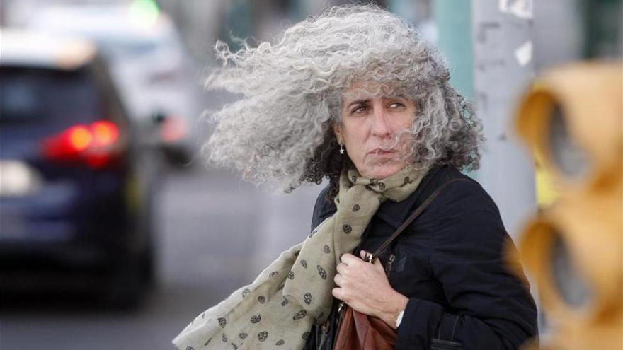 Viento del noreste con rachas fuertes en el Pirineo y norte de la ribera