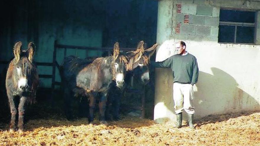 Un ganadero de la localidad junto a sus burros, que a partir de ahora pagarán nuevas tasas anuales.