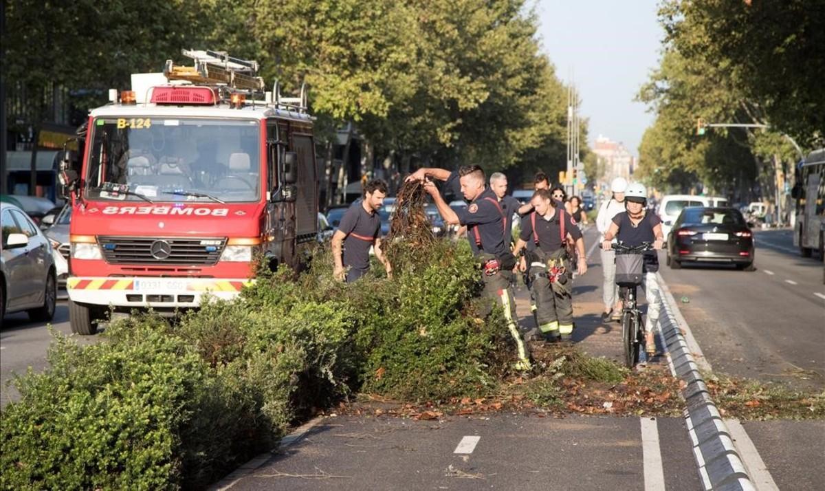 zentauroepp44918957 graf6862 barcelona  06 09 2018  los bomberos retiran unos  r180906125335