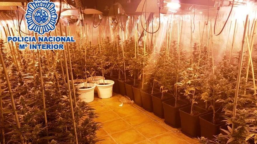 Cae una organización criminal dedicada al tráfico internacional de marihuana