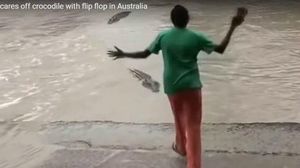 Una dona espanta amb una xancleta un cocodril a Austràlia