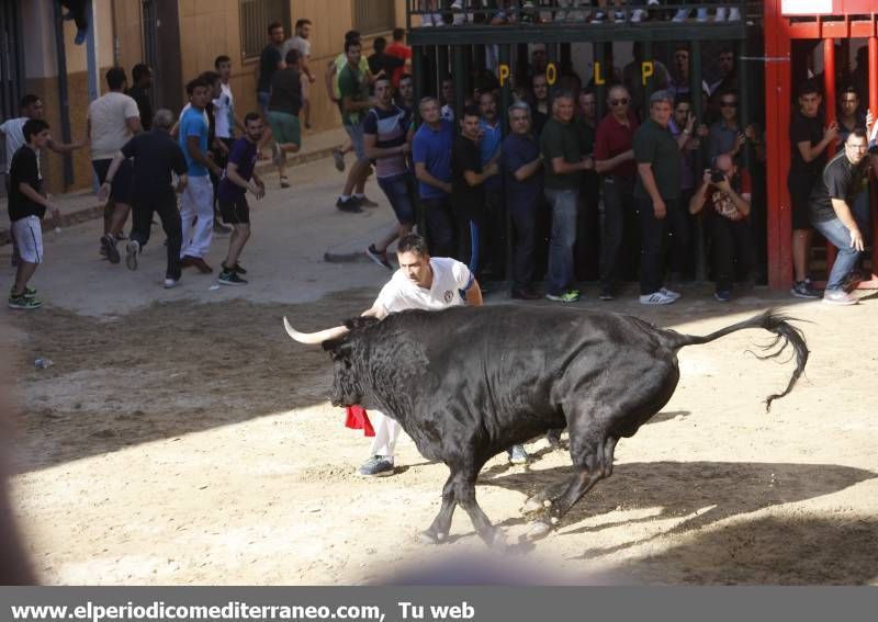 GALERÍA DE FOTOS -- Festejos en honor a Santa Quitèria