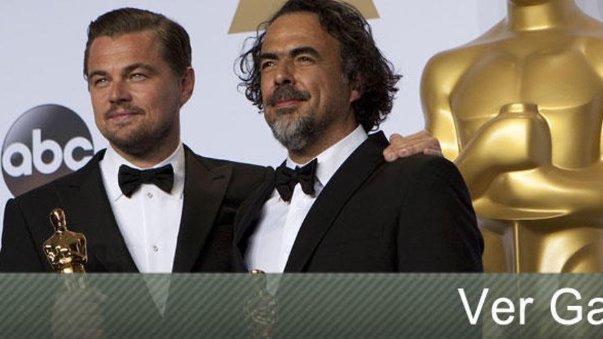 &#039;Spotlight&#039; sorprende en la noche de Iñárritu y DiCaprio
