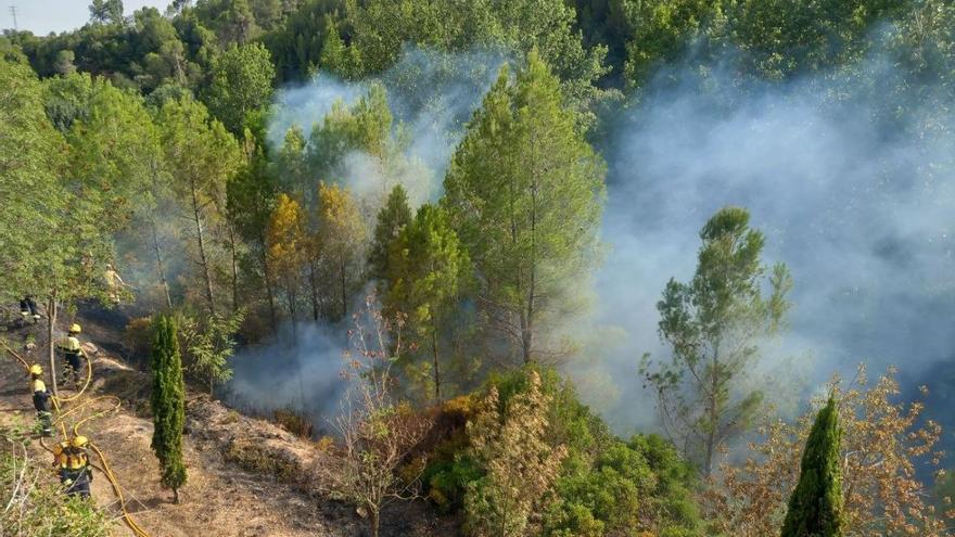 Ensurt per un foc forestal a prop del polígon industrial Can Cortés de Callús