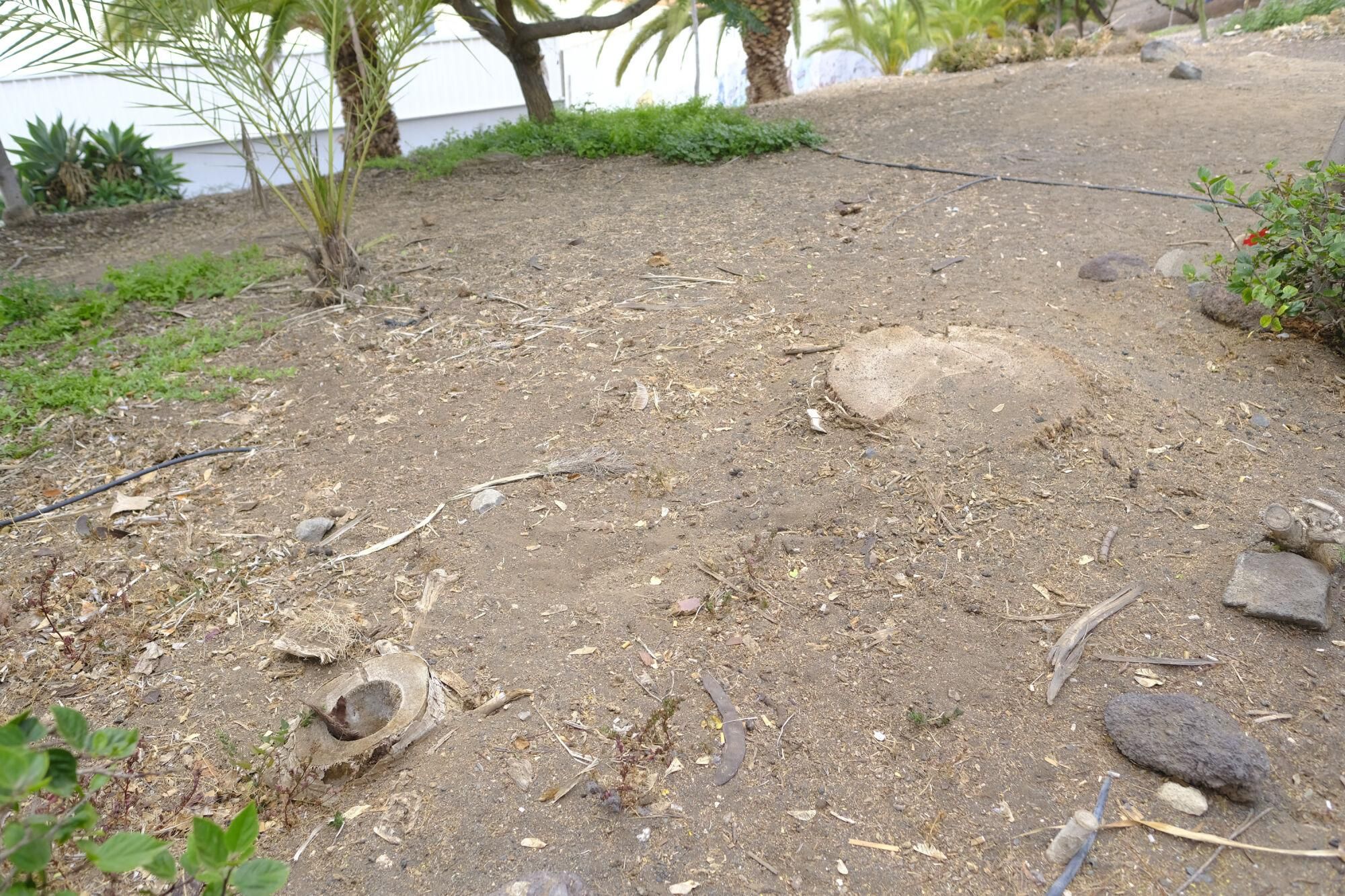 Mal estado de las zonas verdes en Las Torres