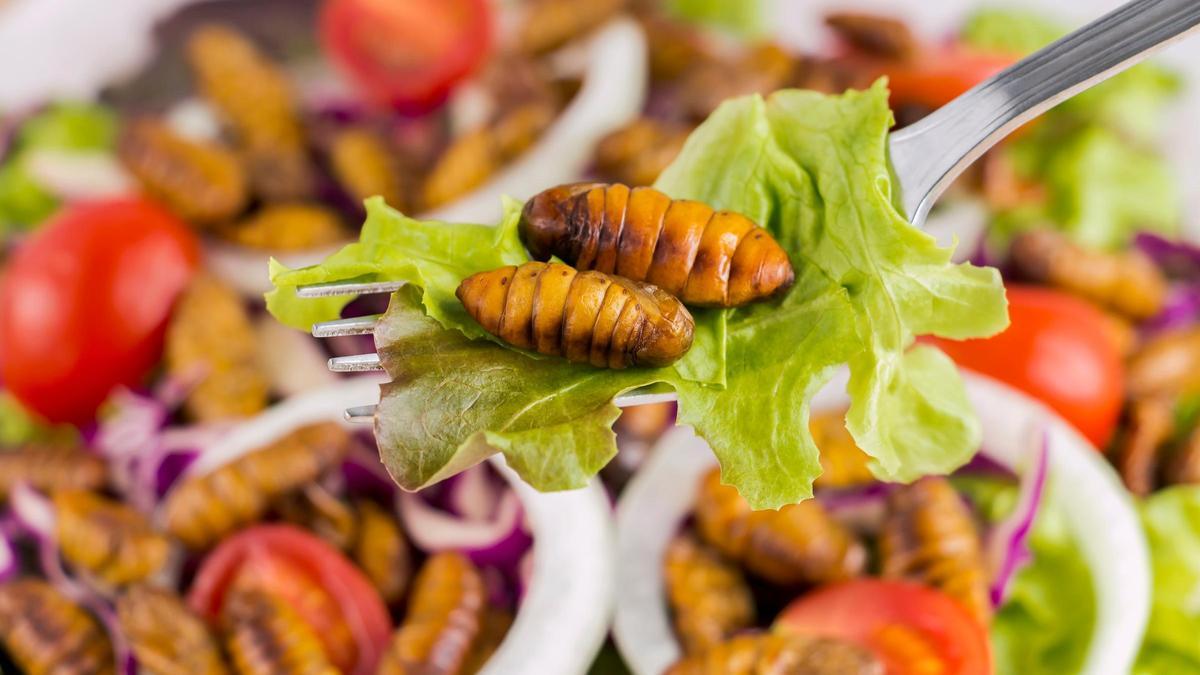 Una ensalada con gusanos