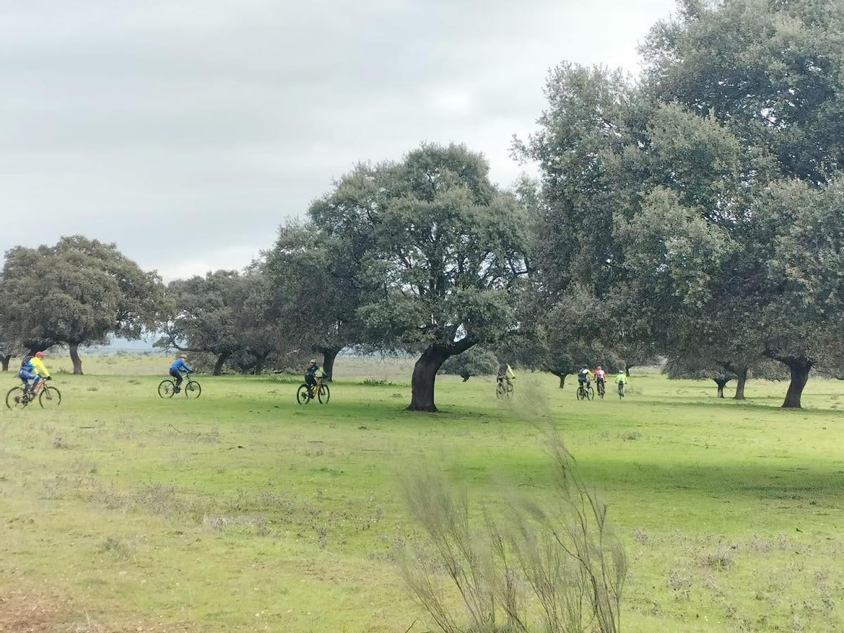 Varios ciclistas, durante la prueba en un año anterior.