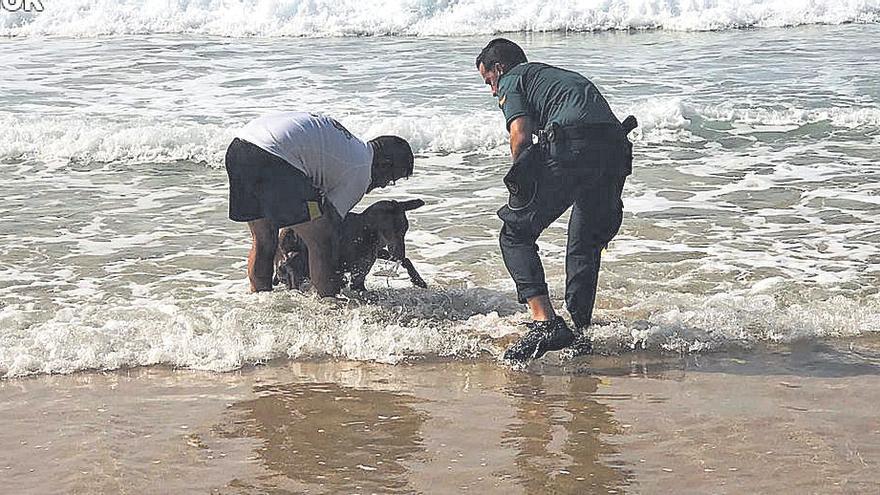 Una patrulla rescata a dos perros deshidratados en una playa de Fuerteventura