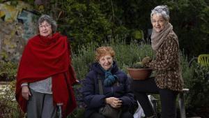 Pugna pel futur del jardí del Silenci