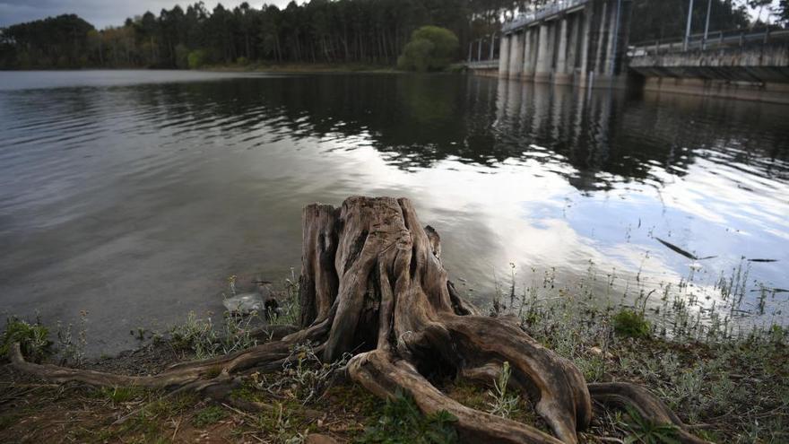 El humedal de Viladesuso mejora la calidad del agua que llega al embalse de Cecebre