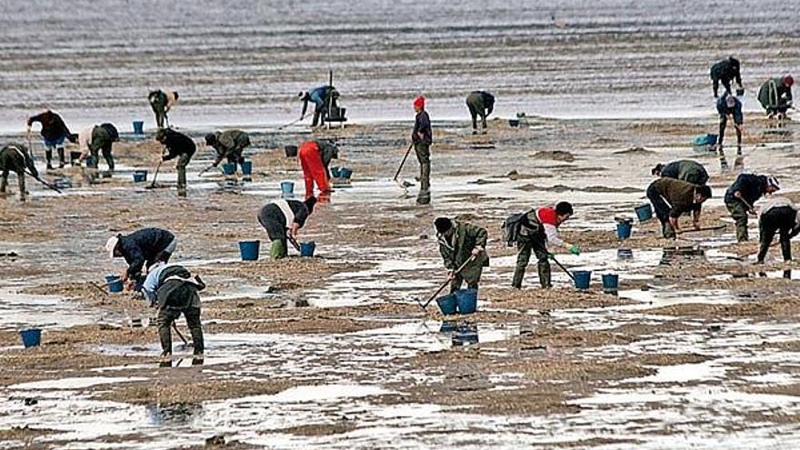 El banco marisquero de Placeres, en la ría de Pontevedra, sigue calificado como zona C.