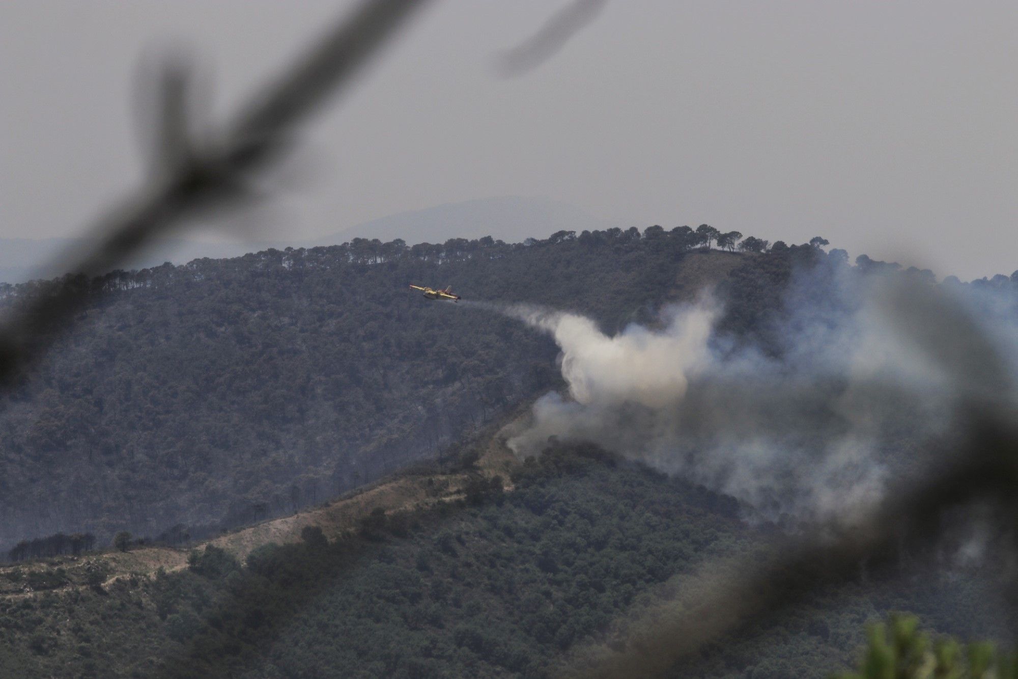Un millar de efectivos trabajan para controlar el fuego de Sierra Bermeja
