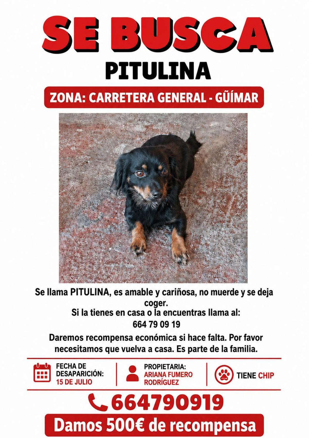 Cartel de búsqueda de 'Pitulina'.