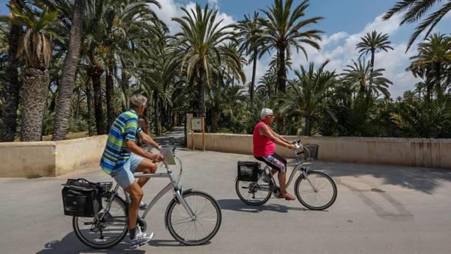 Turistas en bici frente a un huerto de palmeras enclavado en el corazón de la ciudad. antonio amorós