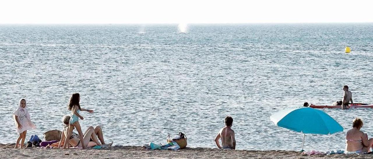 Ballenas cada vez  más cerca de la costa