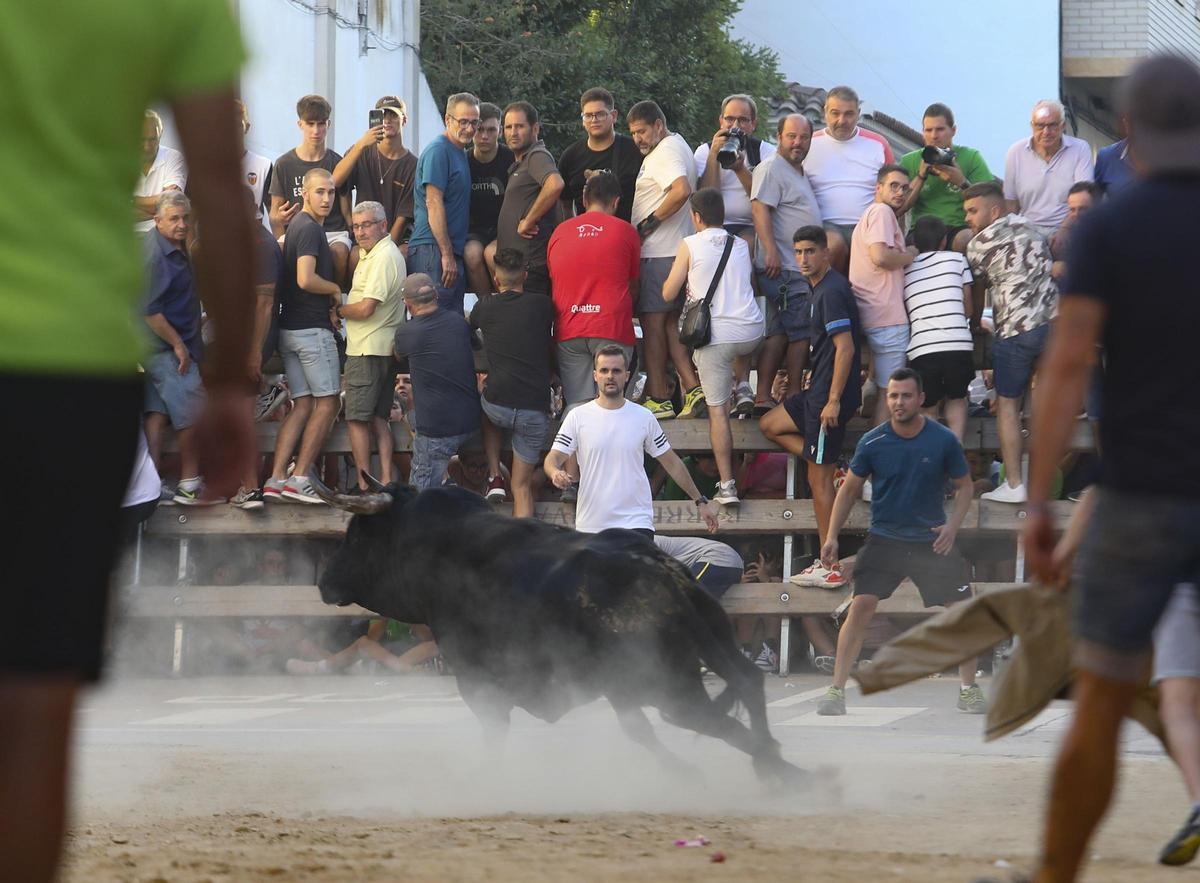 Un momento de una celebración de los 'bous al carrer' en un municipio valenciano.