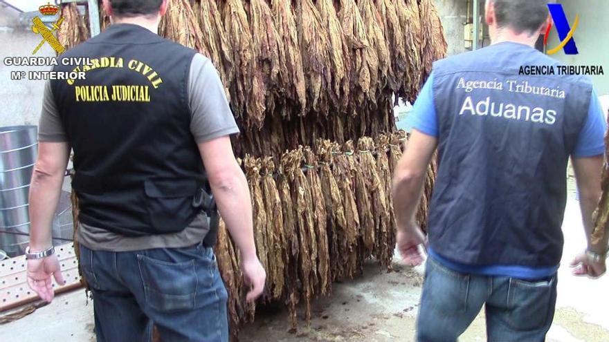 La Guardia Civil se incauta de 70.000 caliqueños y 1.350 kilos de tabaco picado en Chella