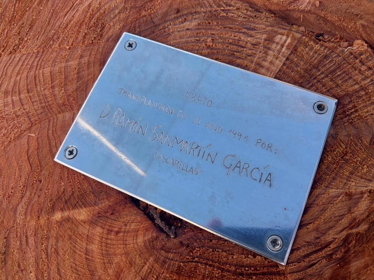 Imagen de cómo ha quedado la placa en recuerdo a Ramón Sanmartín después de ser talado el histórico abeto