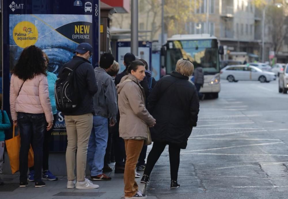 Streik bei Palmas Stadtbussen